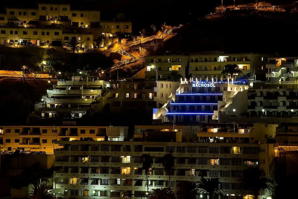 Ig Nachosol Premium Apartments By Servatur (Adults Only) Puerto Rico  Spain